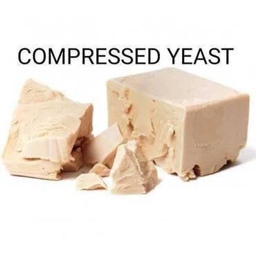 Fresh Frozen Yeast