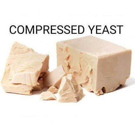 Fresh Frozen Yeast